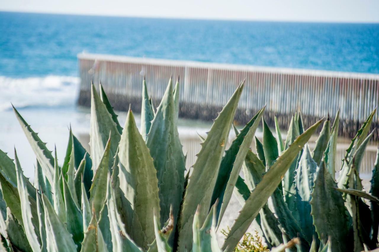 Beachfront Cozy 1 Bdr Тихуана Экстерьер фото